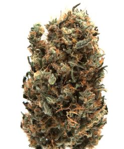 AK-47 Strain Online
